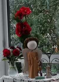 2019 - 12 - Weihnachtsdeko - Blumen... (13)